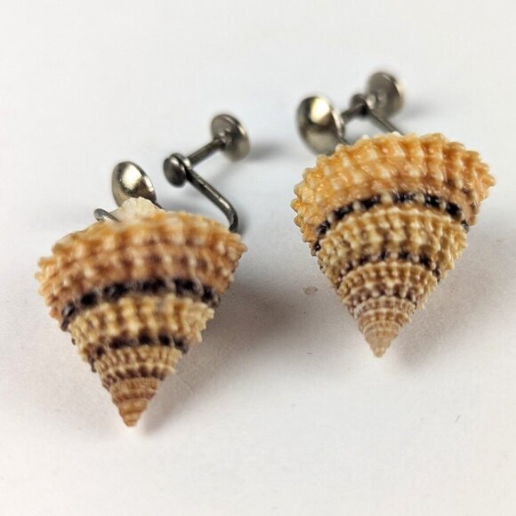 Vintage Winkle Seashell Screw-Back Earrings - Picture 2 of 3